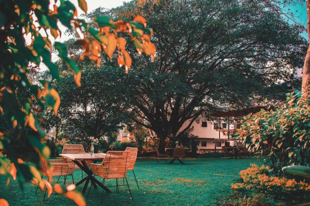 Hotel La Provence Cuernavaca Exterior foto